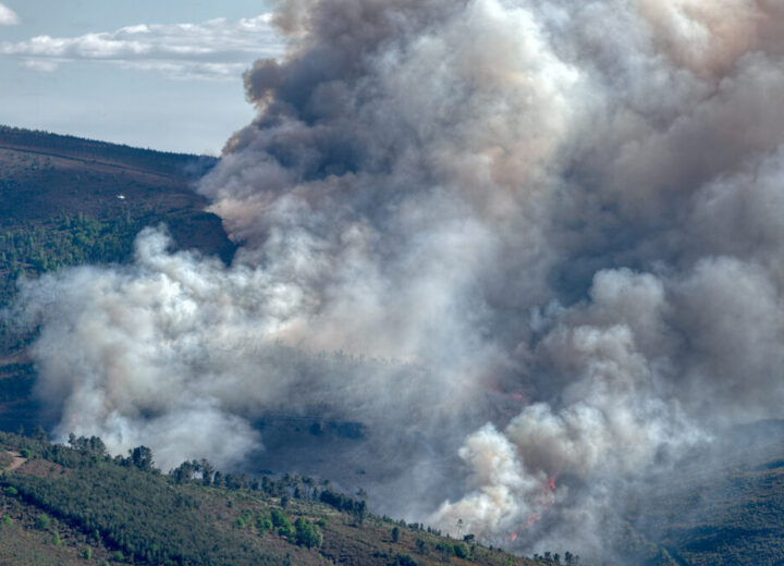 Incendi in Spagna e Francia