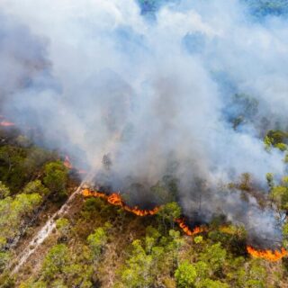 Incendi boschivi in Italia 2026