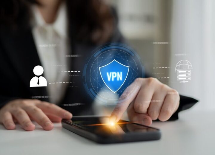 Manifestazione per la difesa delle VPN
