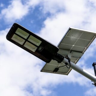 Ortaggi a foglia coltivati con luce ottimizzata