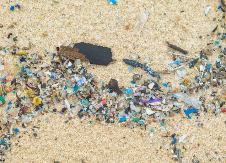 Emergenza plastica in Italia